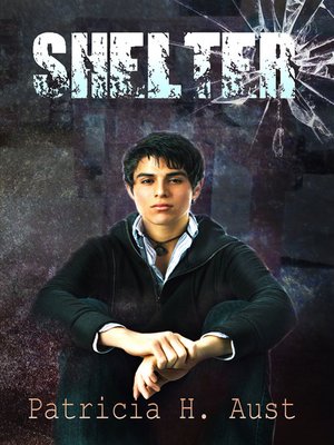 cover image of Shelter